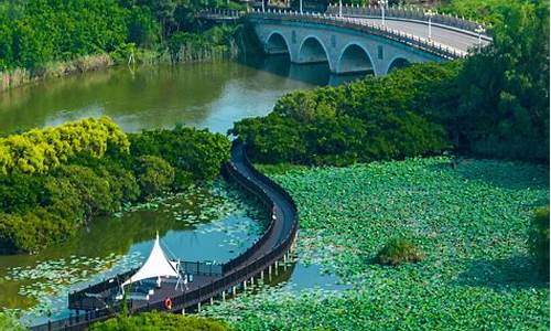 南沙湿地_南沙湿地公园