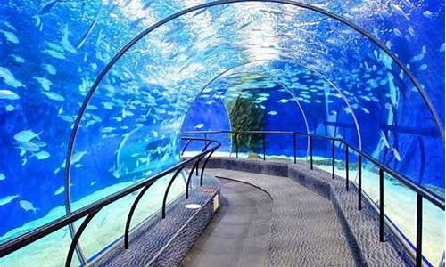 上海海洋水族馆玩多久_上海海洋水族馆玩多久能逛完