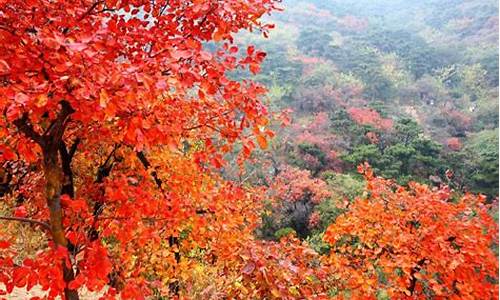 香山公园最佳路线_香山公园最佳路线图片