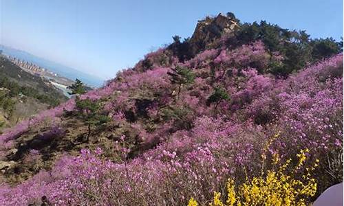 大珠山风景区门票价格_黄岛大珠山风景区门票价格